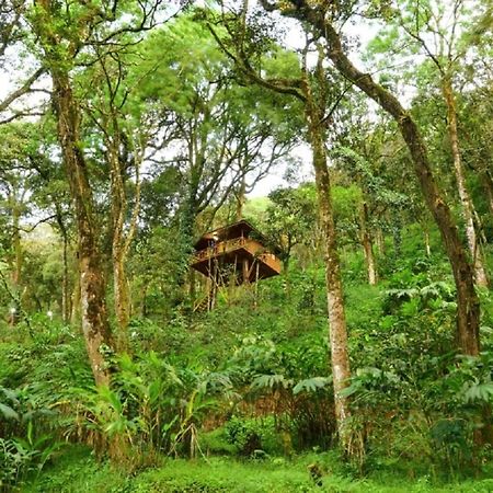 Seven Springs Resort Munnar Exterior foto