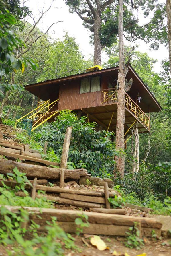 Seven Springs Resort Munnar Exterior foto