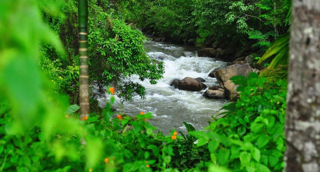 Seven Springs Resort Munnar Exterior foto